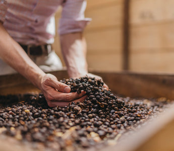 Explore the Heart of Costa Rican Coffee Culture: Our First Blog Post at Hacienda Doka