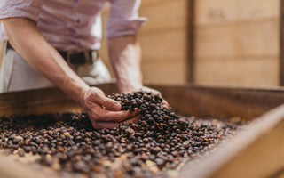 Explore the Heart of Costa Rican Coffee Culture: Our First Blog Post at Hacienda Doka