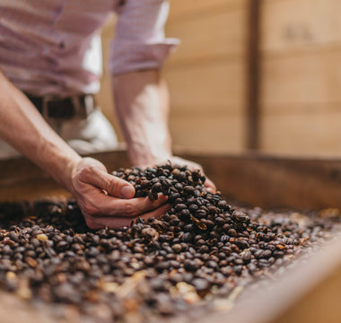 Explore the Heart of Costa Rican Coffee Culture: Our First Blog Post at Hacienda Doka