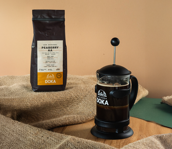 The Ritual of Brewing: How to Use the French Press